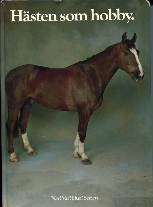 Hästen som hobby