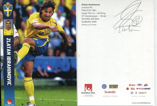 Svenska Landslaget 2006