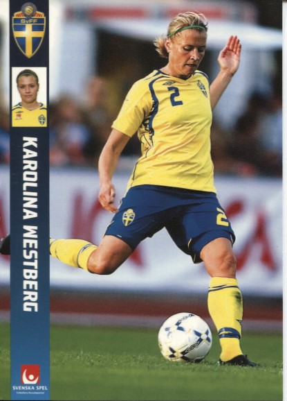 Svenska damfotbollslandslaget 2007