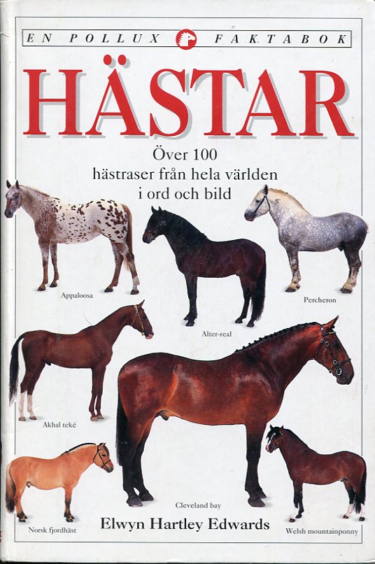 Hästar